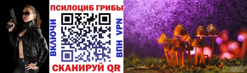 Галлюциногенные грибы MAGIC MUSHROOMS  закладка  Ивантеевка 