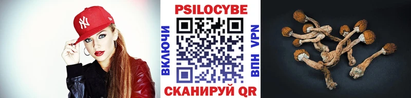 Псилоцибиновые грибы Magic Shrooms Ивантеевка