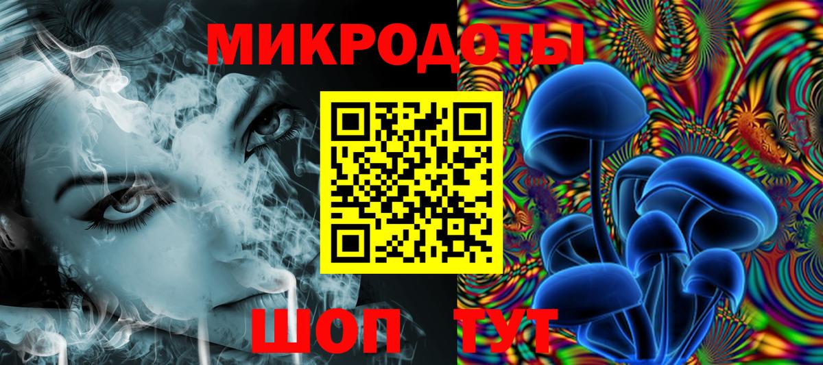 Псилоцибиновые грибы Psilocybe  Вход с VPN  Галлюциногенные грибы Psilocybe  Ивантеевка 